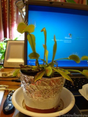 Так выглядят уже сегодня