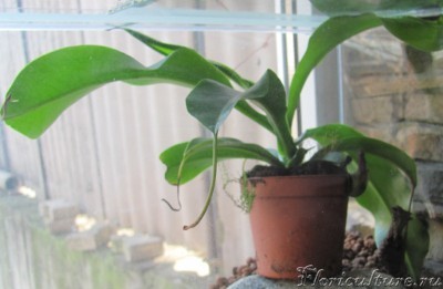 мои фото 1213-1.jpg