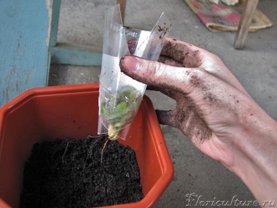 Копия IMG_8760.JPG