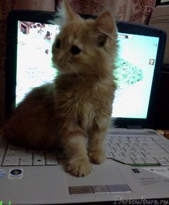 вот так мы подросли