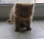 вот таким мы подобрали