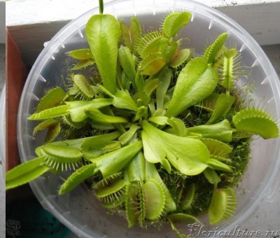 фото сентября