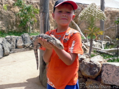 Recovered_JPEG Digital Camera_1344.jpg