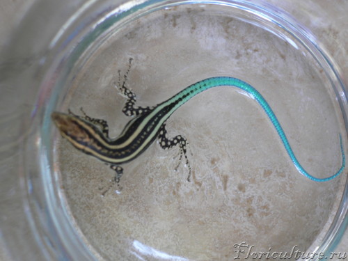 Recovered_JPEG Digital Camera_6626.jpg