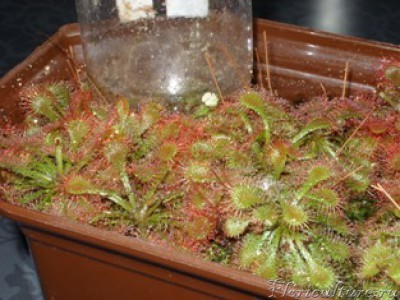 Весенний загар