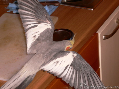 Recovered_JPEG Digital Camera_7553.jpg