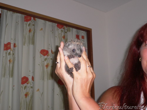 Recovered_JPEG Digital Camera_2821.jpg