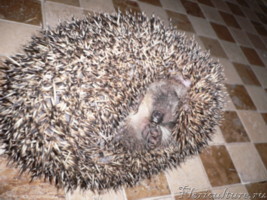 Recovered_JPEG Digital Camera_6619.jpg