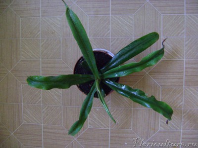 DSC02269 копия.jpg