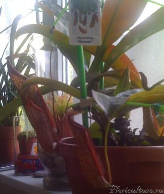 Изображение 1046.jpg