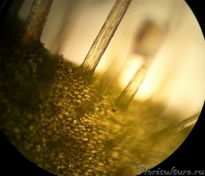 Ножки железок.