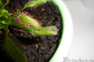 и вот такой потом лист получается