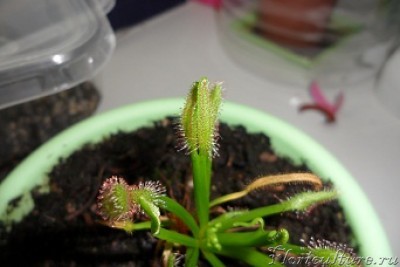 потом он складывается