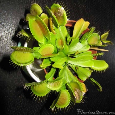 для сравнения сентябрьское фото