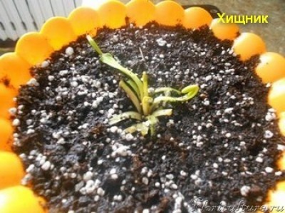 Вот собственно и она!