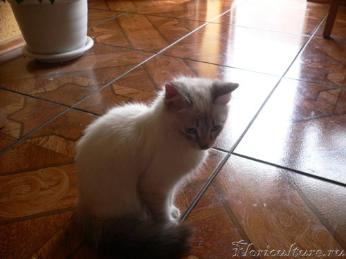 Recovered_JPEG Digital Camera_2568.jpg