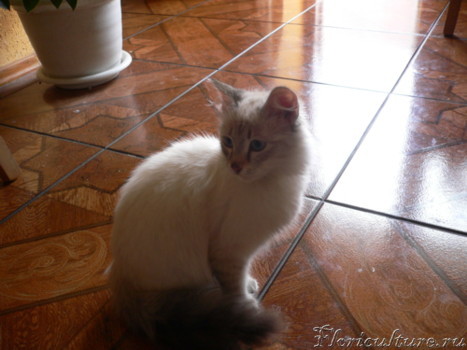 Recovered_JPEG Digital Camera_5908.jpg