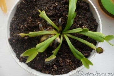 общий вид сегодня