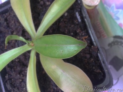 2013-08-05 21.22.00.jpg