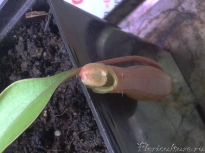 2013-08-05 21.22.49.jpg