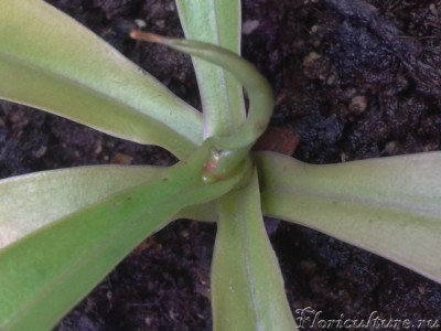 2013-08-05 21.23.10.jpg