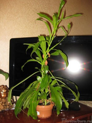 1.