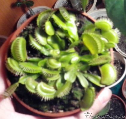 Подскажите))))