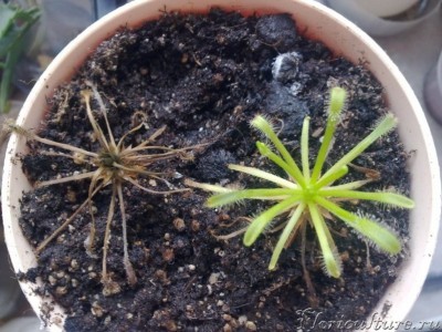 вид с верху