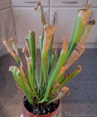 и в настоящее время