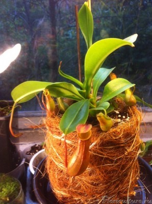 таким он был в сентябре