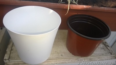 купил горшки подобрав по размеру