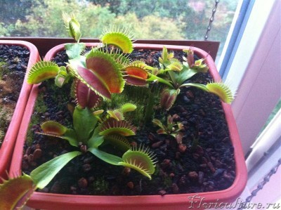 IMG_4272 (Medium).jpg