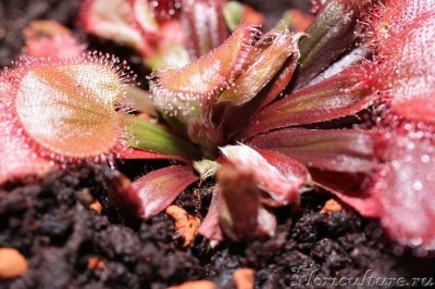 вид с одного бока