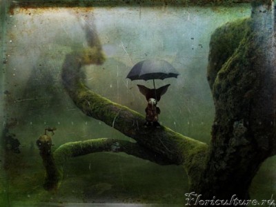 простите за флуд...