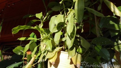 IMG_20160828_180743_новый размер.jpg