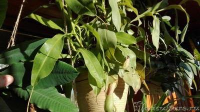 IMG_20160828_180729_новый размер.jpg