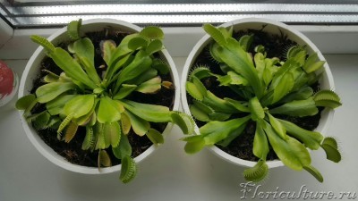 2016-09-30 17.22.33.jpg