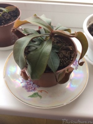 Вот такая сейчас