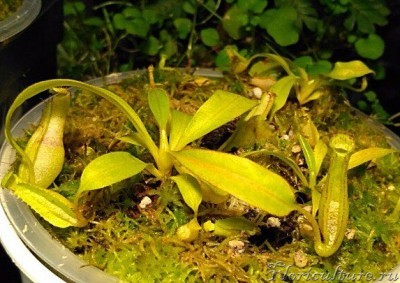 это 2 месяца назад.