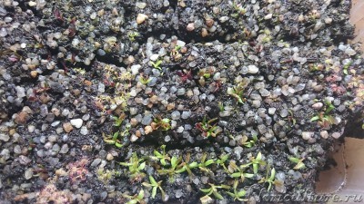 Малышне 1,5 месяца