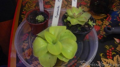 Три месяца спустя