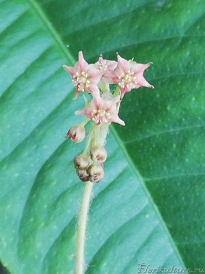 2018-08-06 18.48.28.jpg