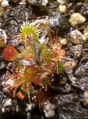 Маленькая обжора