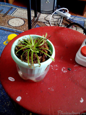 Понимаю что качество не айс но всеже..