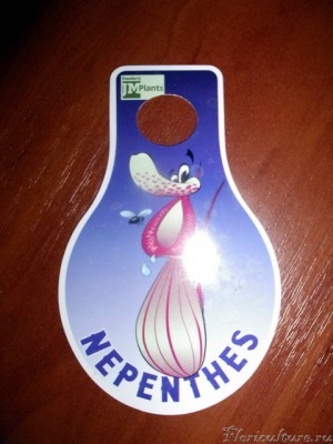 Вот такая вот веселенькая этикетка