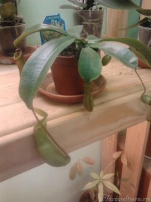 2019-02-22 16.50.34.jpg