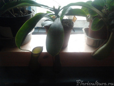 2019-02-25 13.39.07.jpg