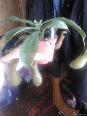 2019-02-25 14.15.48.jpg