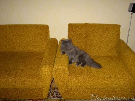 кажется получилось!