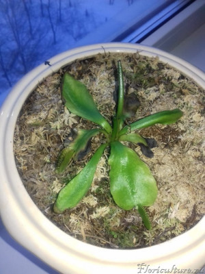 WhatsApp Image 2019-03-13 at 07.20.16.jpeg